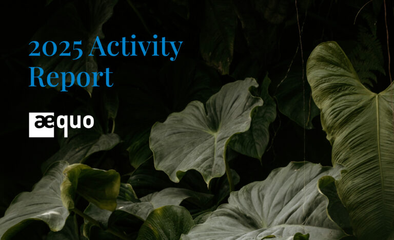 Our 2025 Activity Report